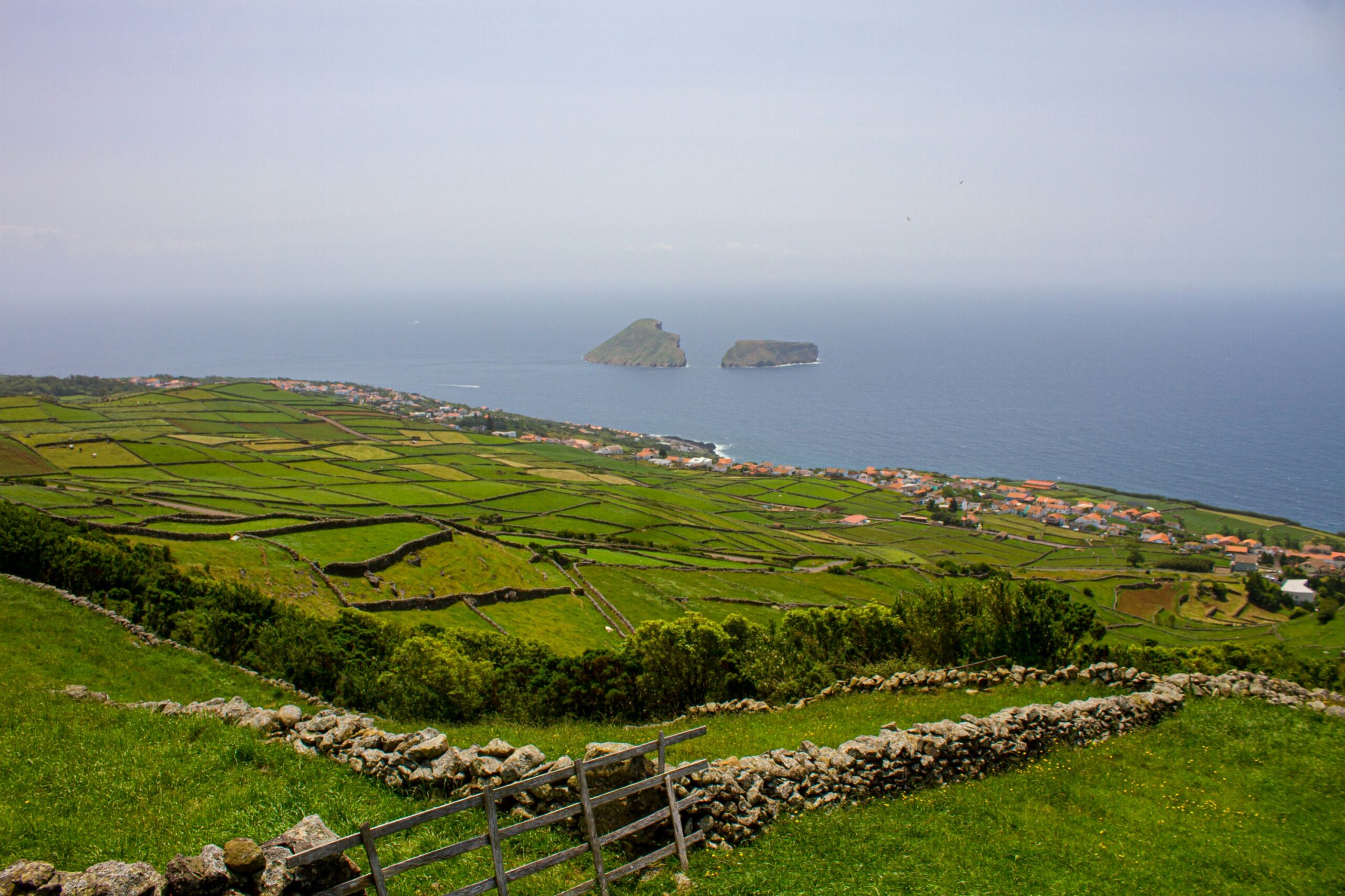 Lush green hillside adjacent to large body of blue ocean water under cloudy skies in Portugal